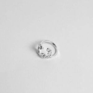 ANILLO DOBLE VIRUTA