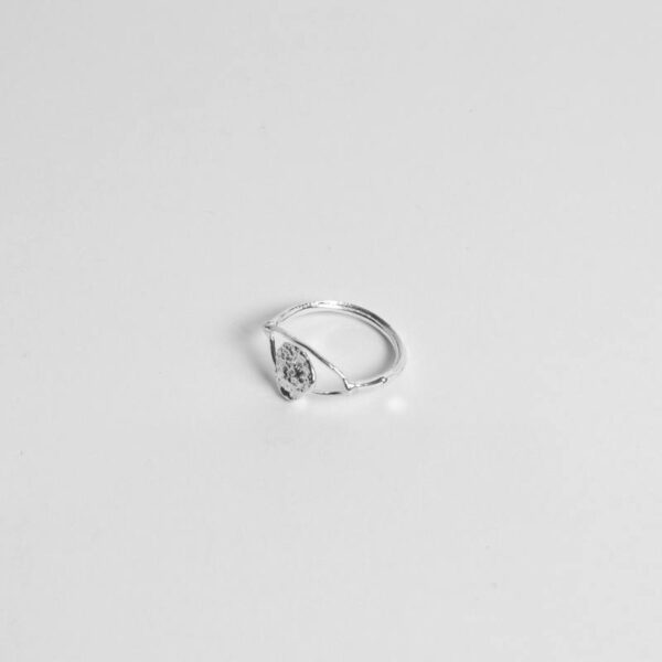 ANILLO PUPILA
